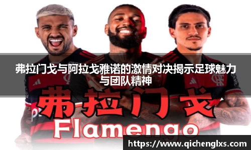 必一运动bsport体育